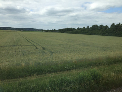 IMG_1482_201806eu.jpg