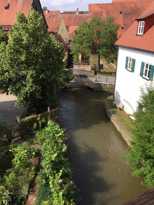 IMG_1726_201806eu.jpg