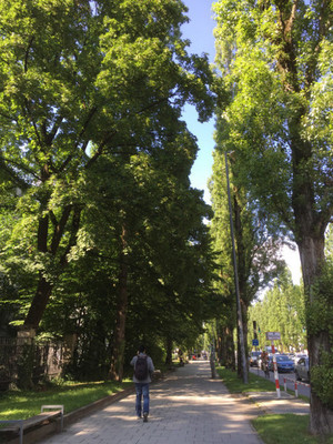 IMG_1813_201806eu.jpg