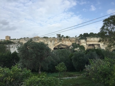 IMG_5007.JPG