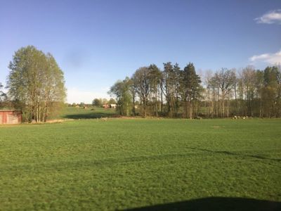 IMG_6032_2019GWeu.jpg