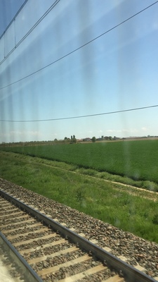 IMG_6868.JPG