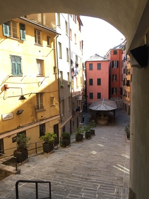 IMG_6886.JPG
