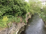 IMG_8526.JPG
